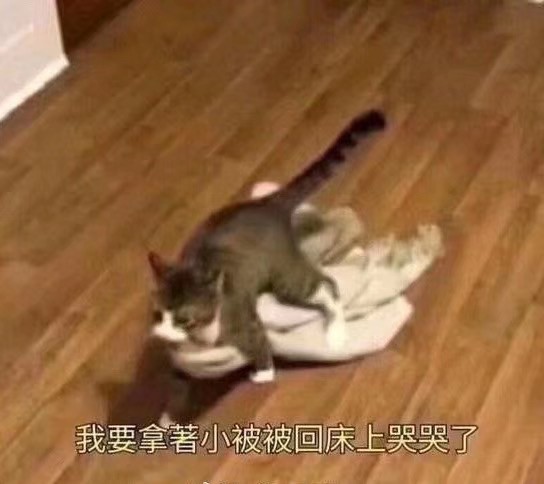 HiFi烧友假期在家被嫌弃的全程自述（内容过度真实）