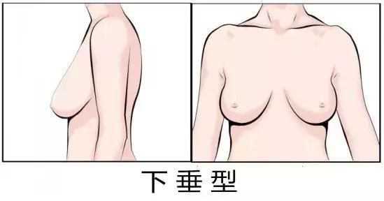 胸比较大的女生怎么穿显身材,胸比较大的女生怎么穿衣服好看