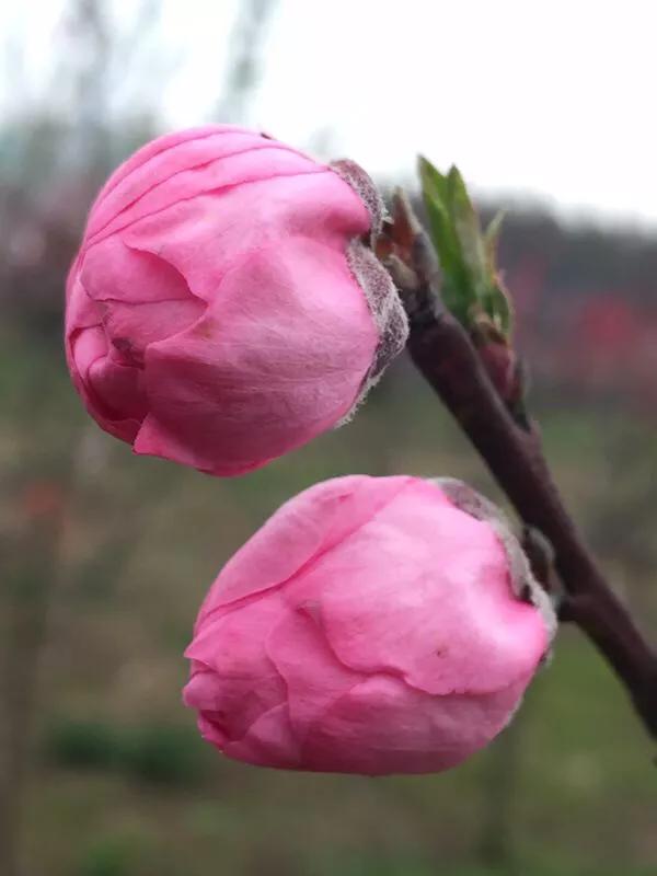 2022年世界手机摄影大赛征稿,手拍世界摄影网