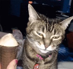 88元一根,爱要不要!连冰激凌都开始“内卷”了