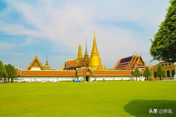 泰国坑中国游客,泰国坑中国游客后续