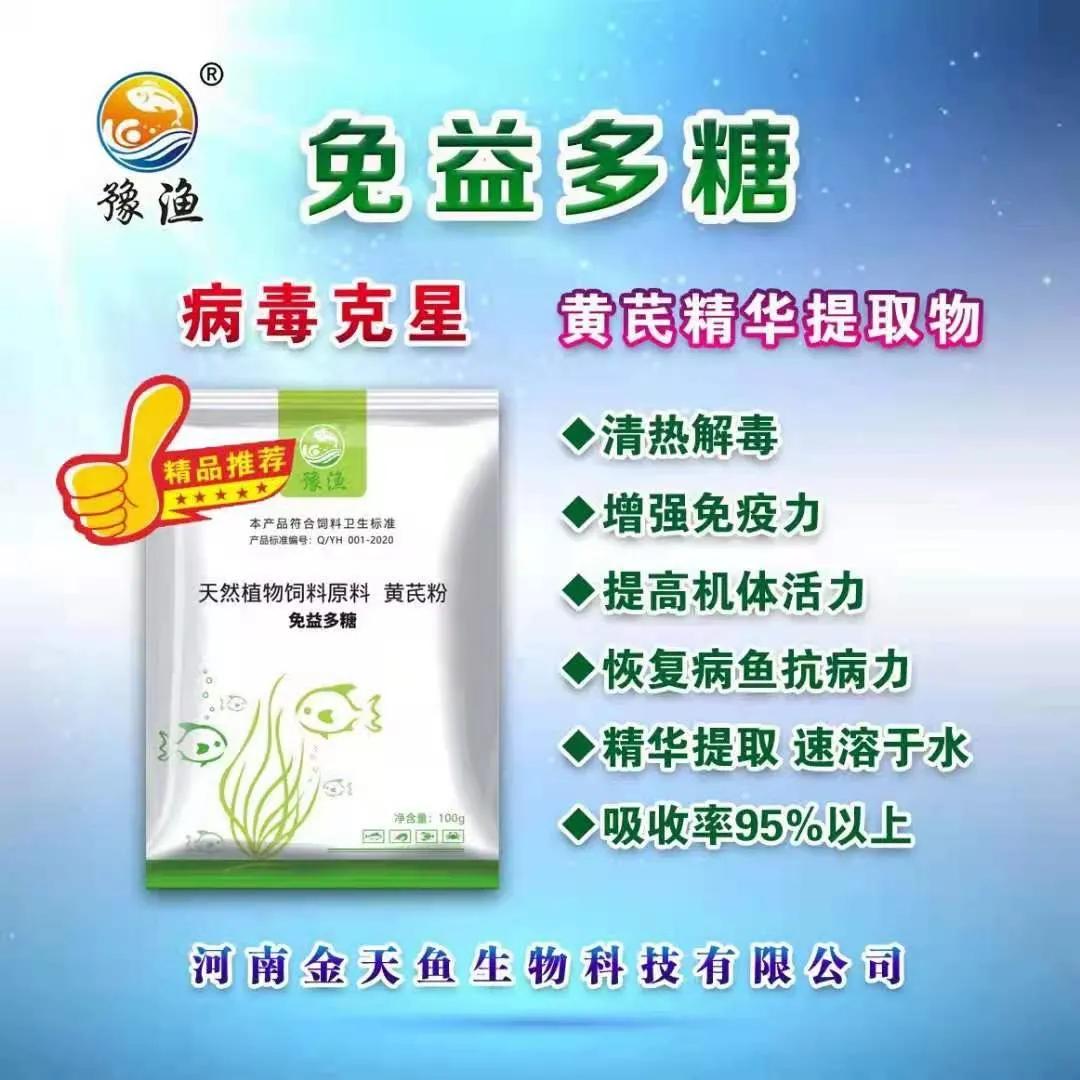 鱼内出血鳃出血怎么治,鱼病毒性出血病最佳治疗方法