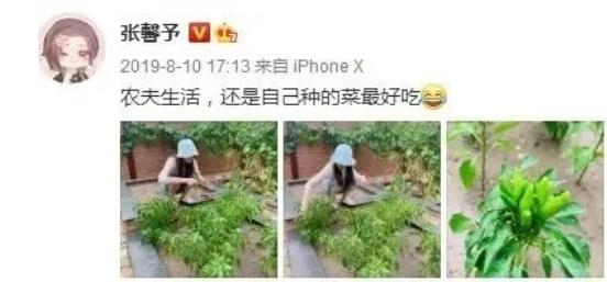 李晨和何捷张馨予最爱谁,何捷张馨予李晨