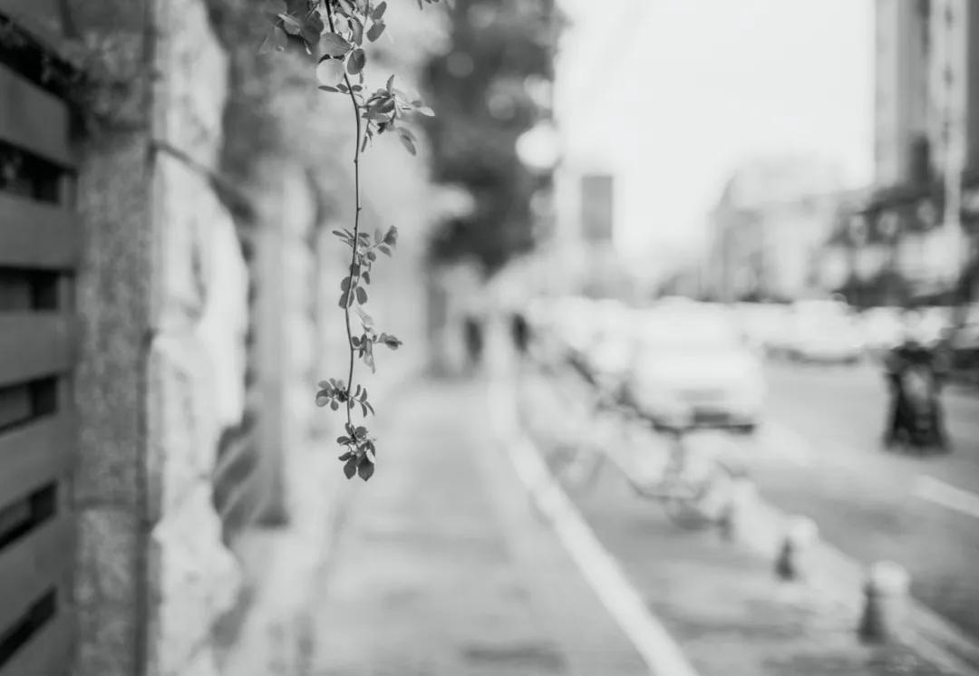 南京的老城南是哪里,南京老城南