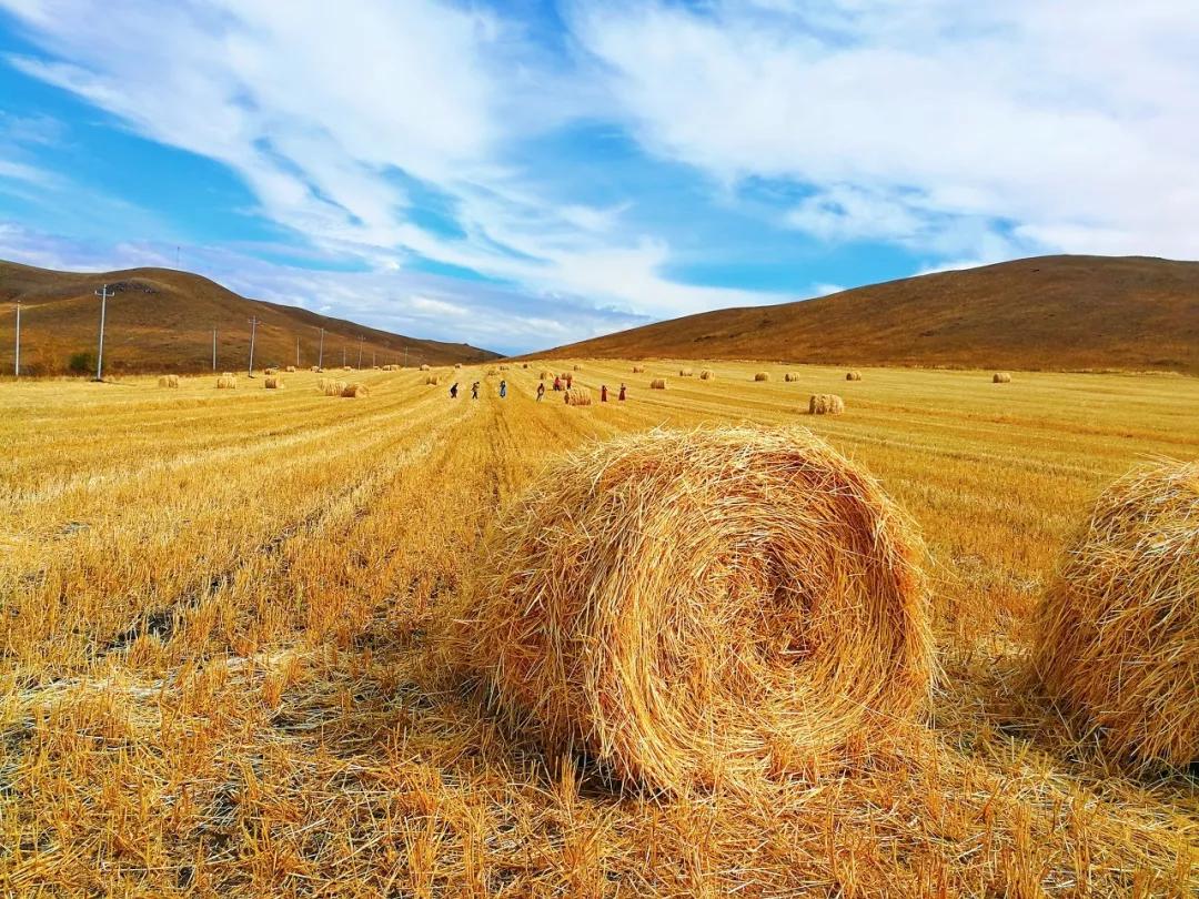 适合住三五天的旅游小镇,国内适合住3-5天的小镇