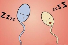 从精子质量可以看出肾的好坏吗,高质量男性精子状态