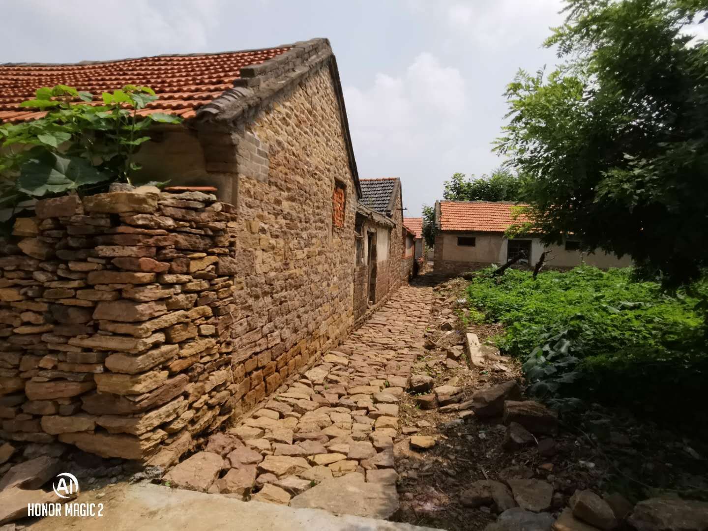 鞭杆治驴图片,鞭杆治驴段子