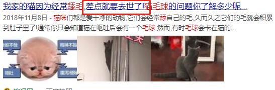 猫毛吸进肺里案例,猫的毛会吸进肺里吗