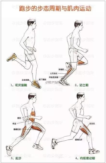 跑步新手应该了解的运动知识,跑步运动基础知识