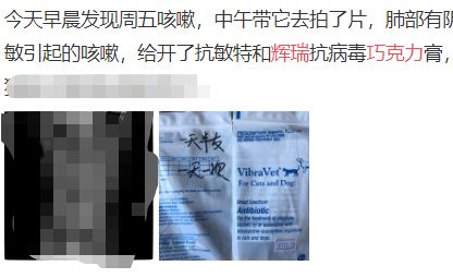 辉瑞巧克力分辨真假,辉瑞巧克力靠谱吗