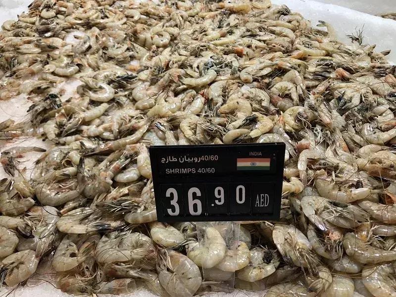 迪拜日常生活怎么样,在迪拜生活的感受