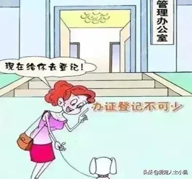 养狗需要具备哪些条件,养狗需要哪些条件