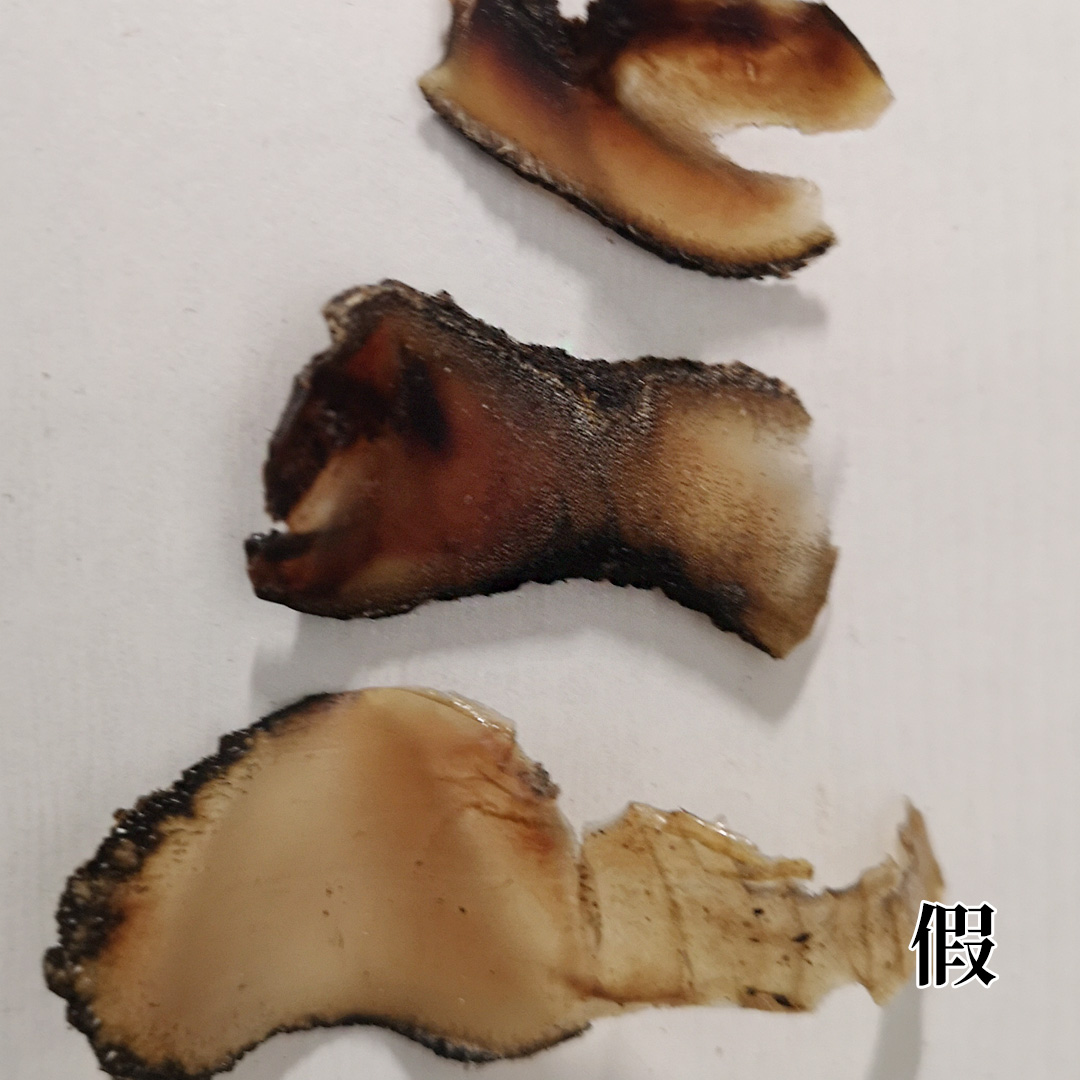 鹿茸片真假的鉴别,真的鹿茸片和假的鹿茸片怎么区分