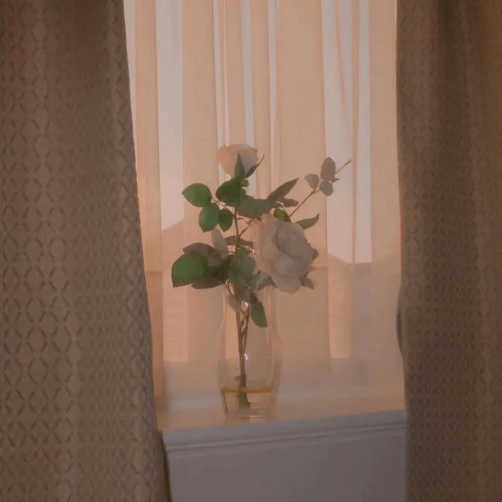 浅色系ins风背景图,浅色系壁纸ins高级质感真人