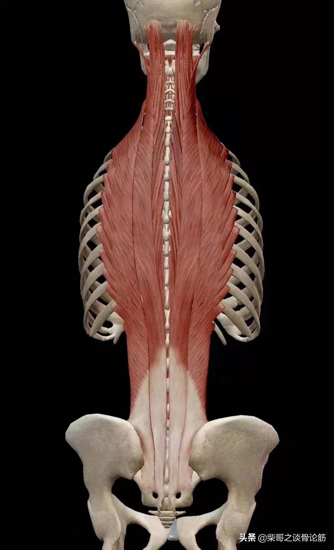 经常没精神腰酸背痛是什么症状,椎间盘突出是常见病吗