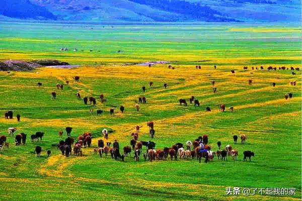 各地特产礼品一览表,天津特产必买清单一览表