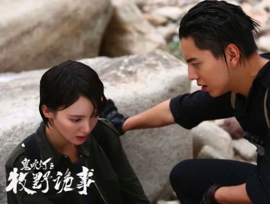 金晨北舞校花照,曾经的北舞校花金晨进了娱乐圈