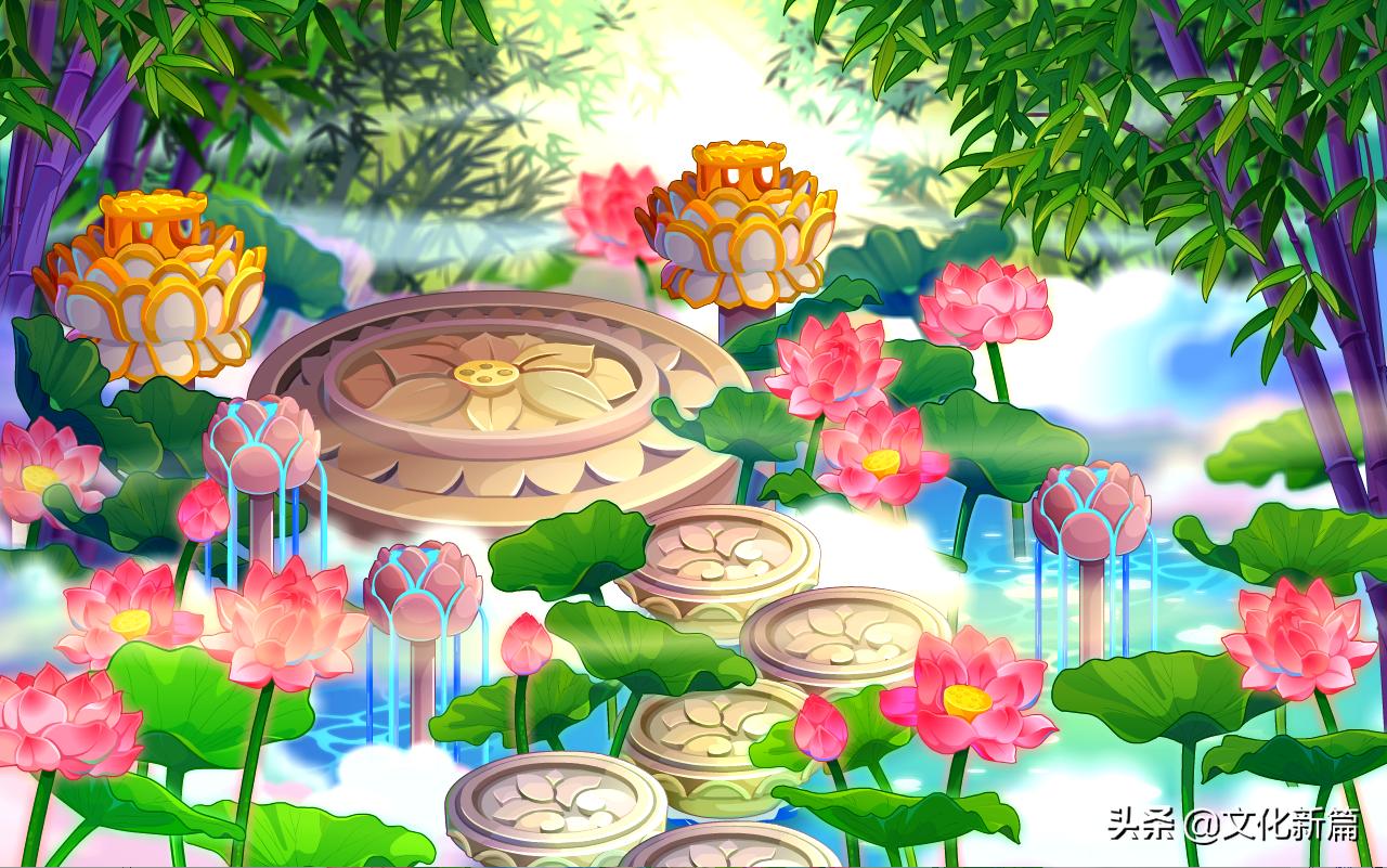 为什么说莲花代表佛法禅心,莲花在佛学里有哪些寓意