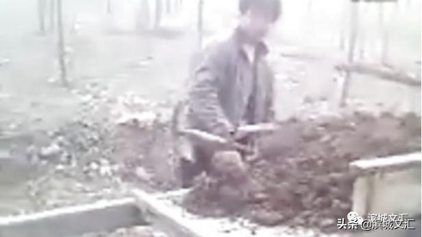 塘沽记忆图片,塘沽儿时记忆