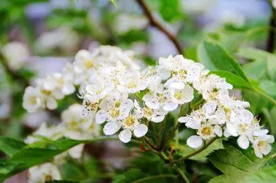 美文心阅免费阅读,美文心阅