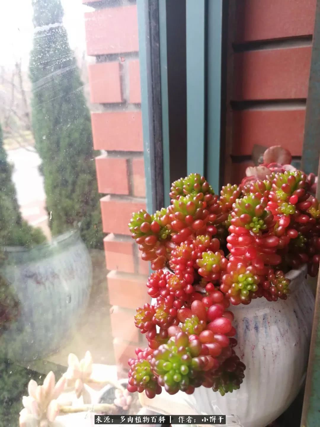 无肉不欢的肉瘾少女，日日沉迷于美色无法自拔！