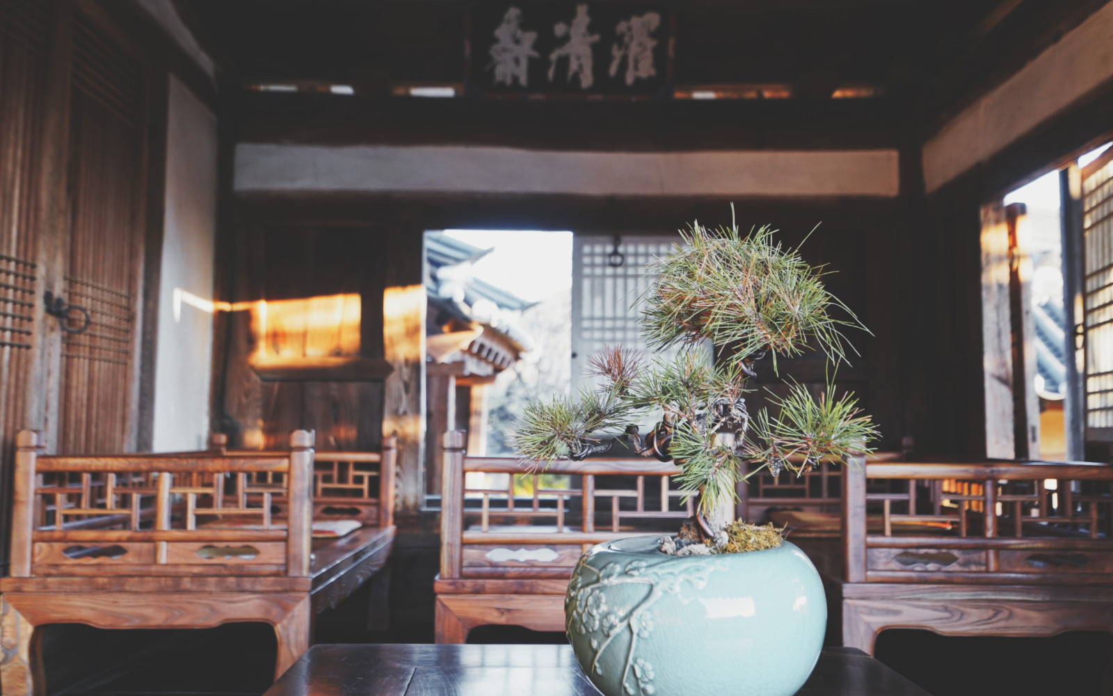 挖人参、做丹药、住转运古宅，想不到的韩国深山秘境游