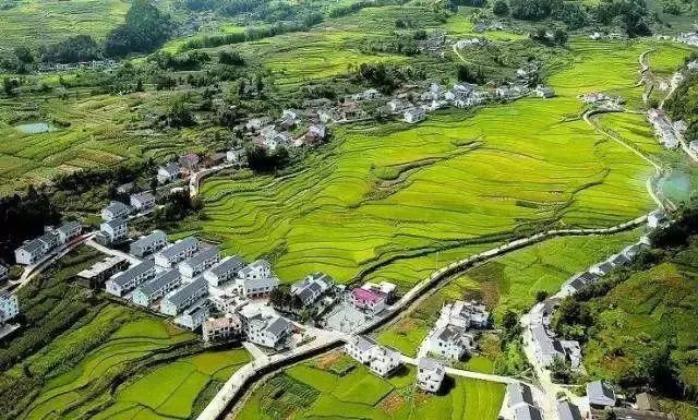 菏泽户口改革最新消息,菏泽户口最新政策