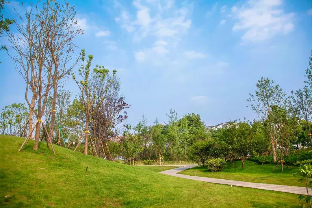 藏不住的双流,双流8500亩城市湿地公园