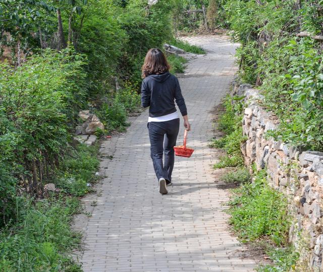 开封博爱网络樱桃节,博爱樱桃节是什么时候