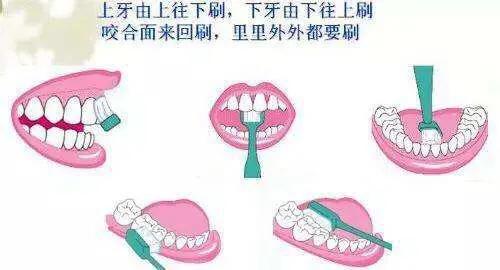 2-6岁儿童正确刷牙方法,8-15岁儿童刷牙怎样才最正确