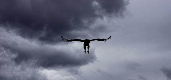 怎么写诗词鉴赏,如何写诗词