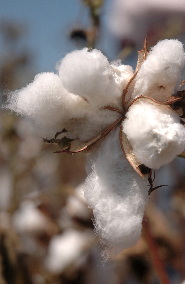 买不到儿童套装,买不起名牌宝宝衣服