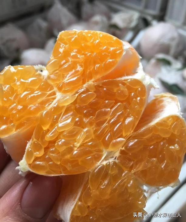 四五月份当季成熟的水果有哪些,推荐这九种当季水果千万别错过