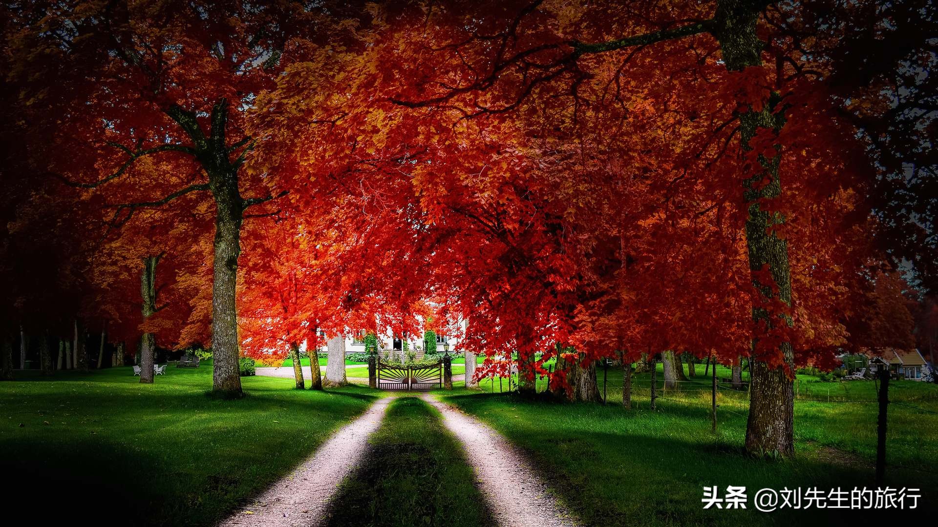 日本旅行冷知识,一粒种子的旅行中的冷知识