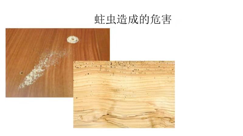 木头防蛀虫最好的方法,木材防蛀虫用什么药剂
