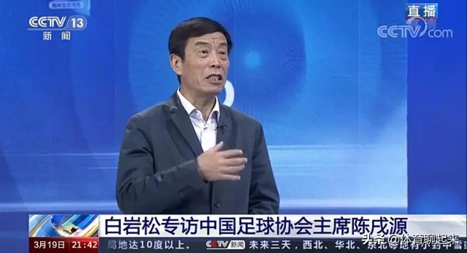 陈戌源采访观后感