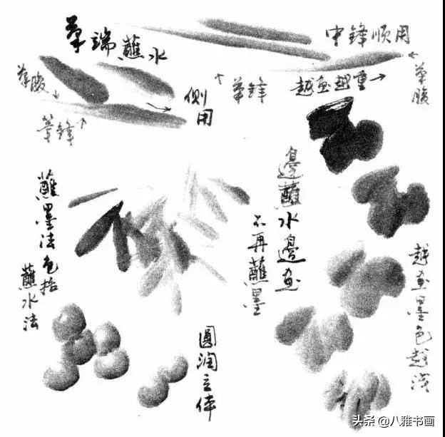 小写意花鸟画笔法,小写意花鸟画笔墨技法与创作