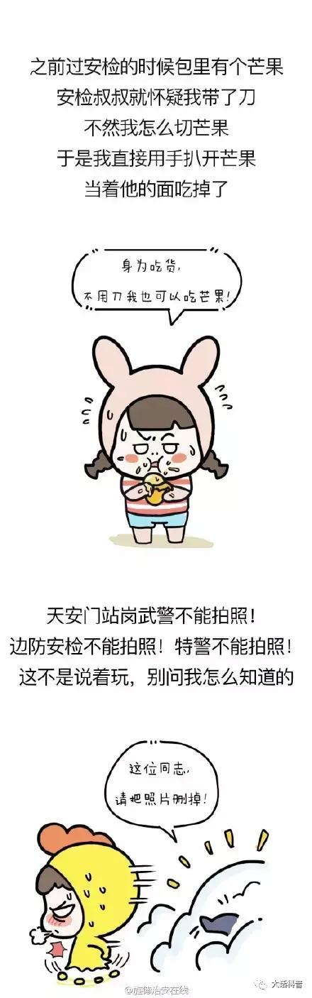 国内的安检干嘛呢,国内安检规定