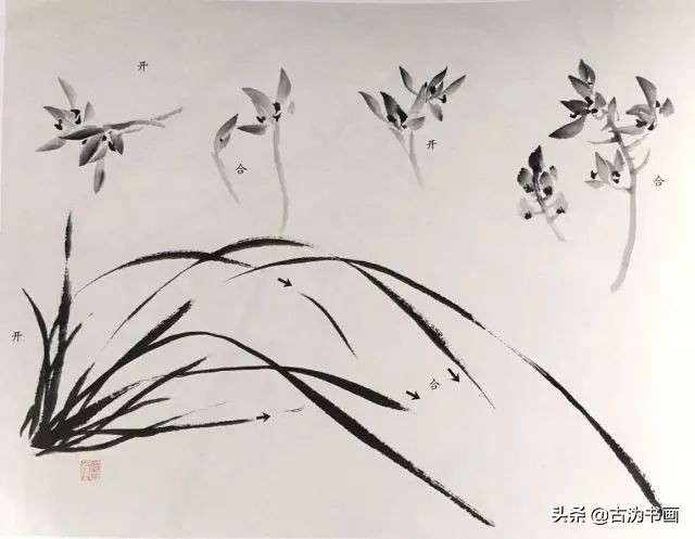 国画兰花技法讲解视频,徐湛国画兰花技法教学