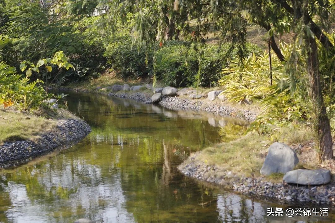 啊？日本传奇品牌酒店实力宠粉，带娃来一场暑期放肆嗨玩