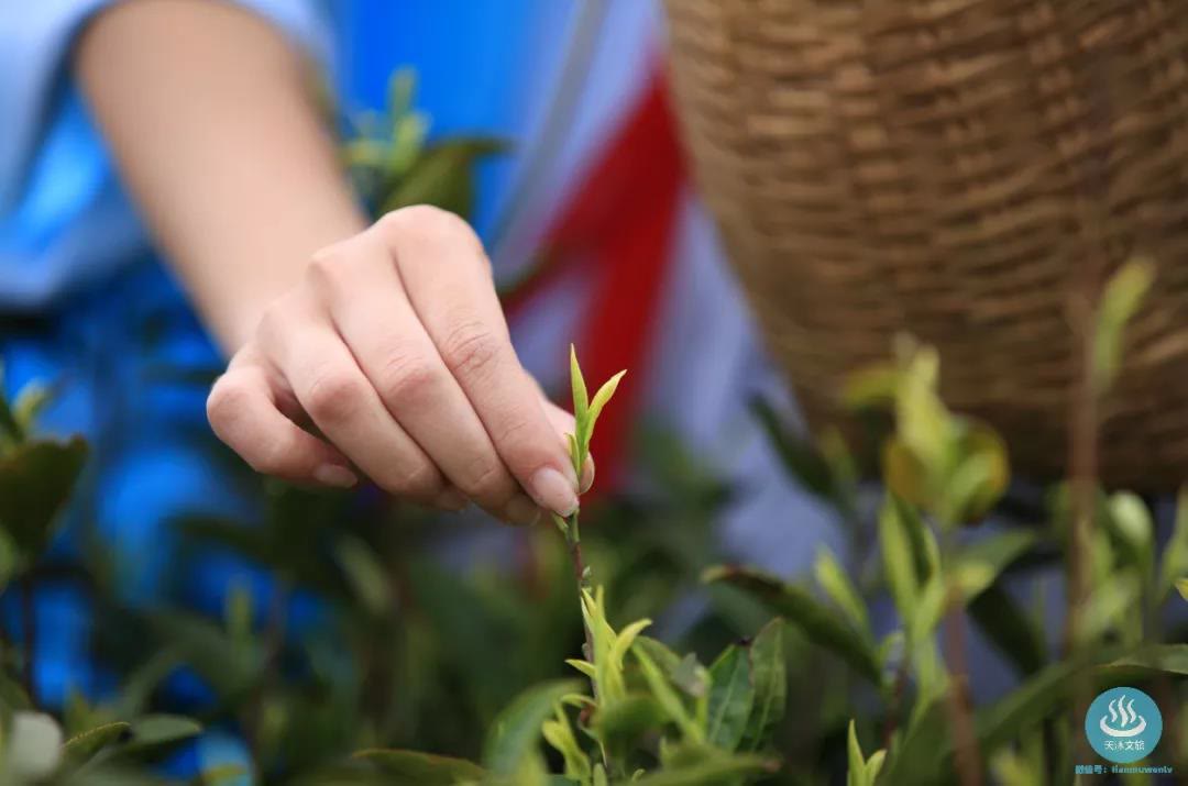 溧阳天沐温泉是真温泉吗,天目湖天沐温泉