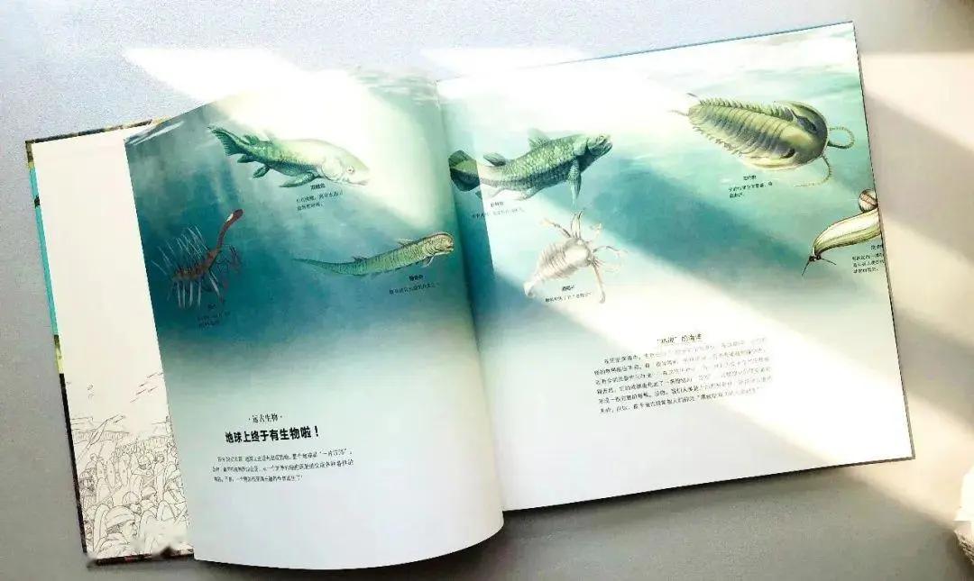 被誉为史上最浪漫圣旨,最浪漫的一道圣旨让世人感动不已