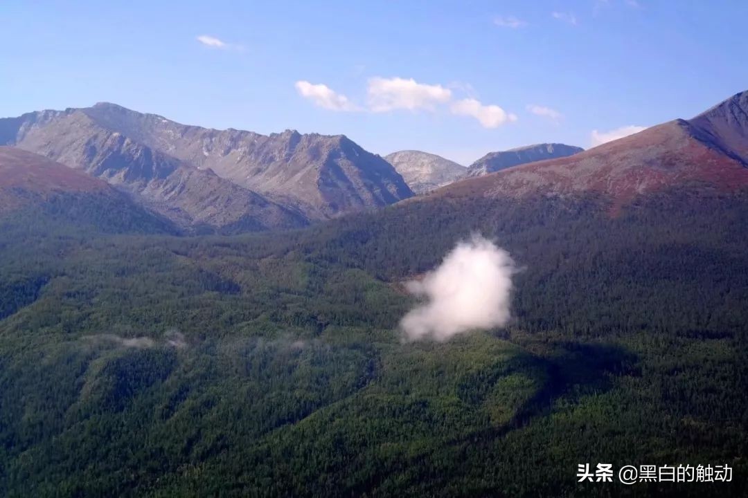 都说新疆好去新疆发展可靠么,都说新疆好地方