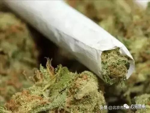 公安局禁种铲毒责任书,公安局禁种铲毒推进会