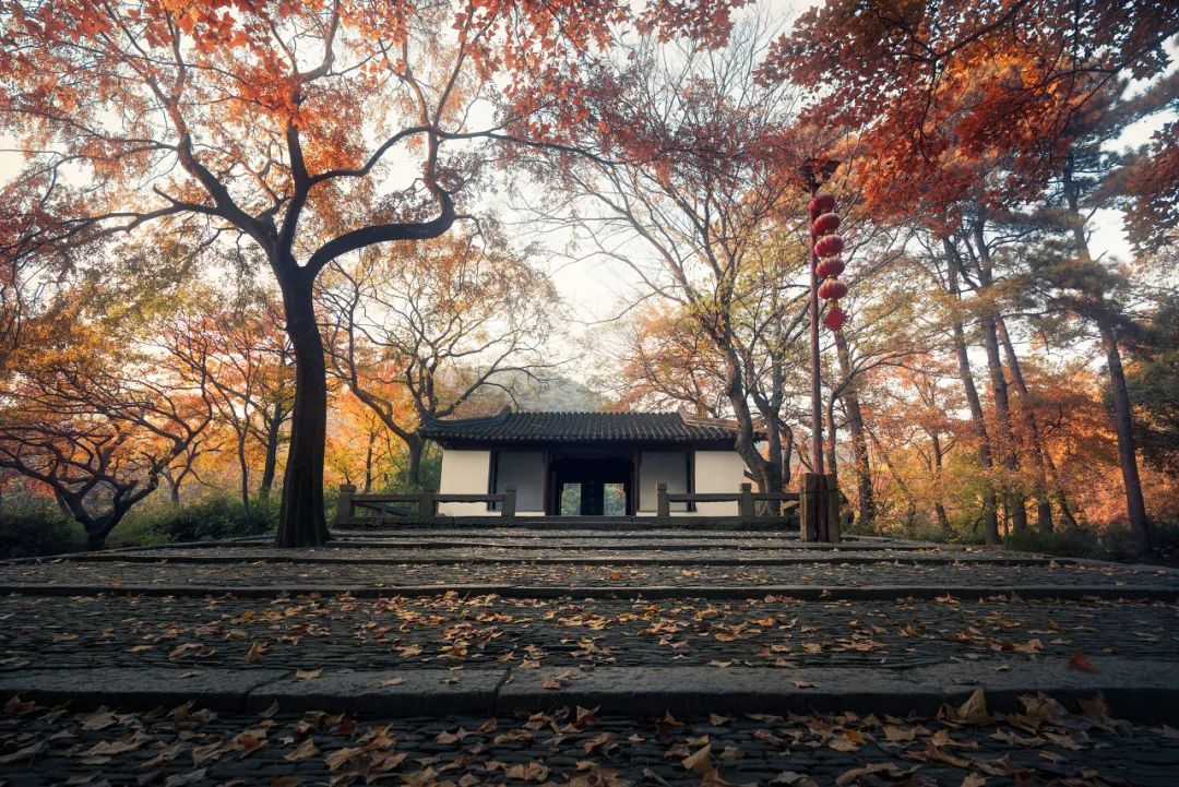 苏州真正的烟雨江南在哪里,江南烟雨苏州古城