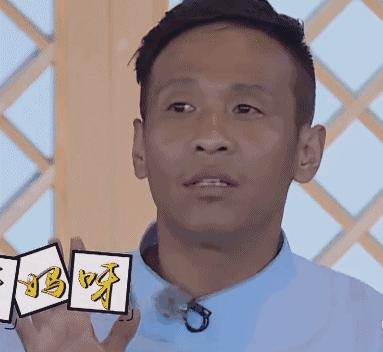 东北话怎么说人傻,东北话咋整是什么意思