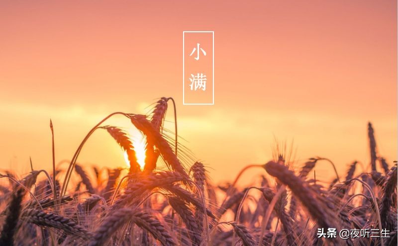 「夜听」小满，万物小得盈满