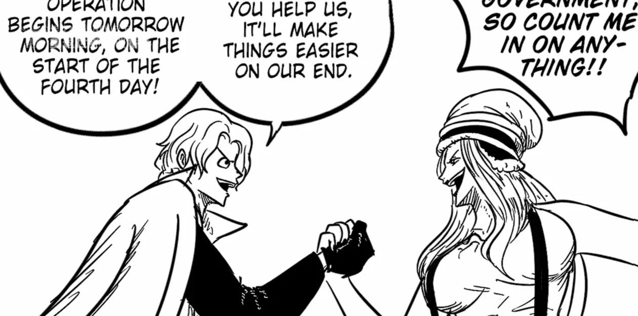 海贼王番外篇之营救暴君熊的计划