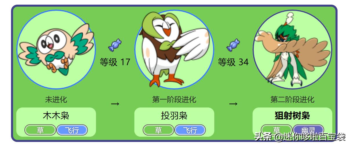 精灵宝可梦最强的50只宝可梦,精灵宝可梦最强的几只宝可梦