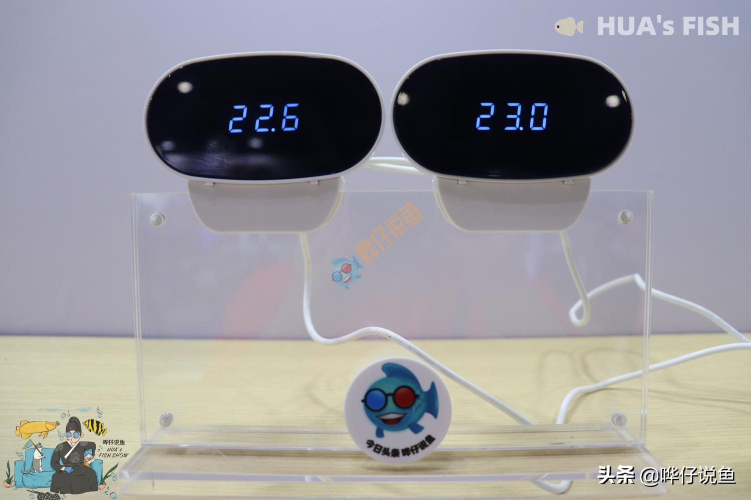 最准确的鱼缸水温计,什么样的鱼缸水温计最准